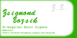 zsigmond bozsik business card